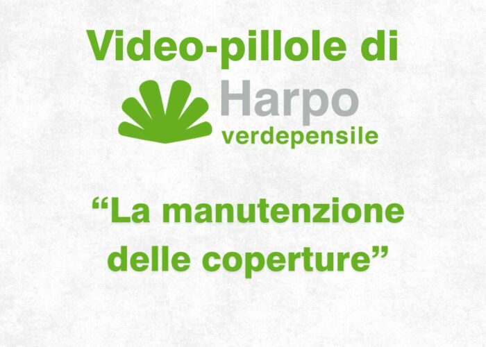 Short videos from Harpo verdepensile 1 of 18. The role of Harpo verdepensile