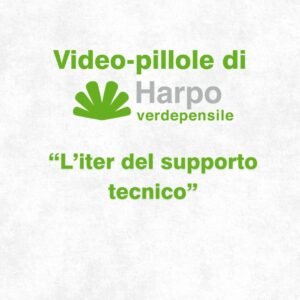 Read more about the article Short videos from Harpo verdepensile 1 of 18. The role of Harpo verdepensile