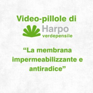 Read more about the article Short videos from Harpo verdepensile 1 of 18. The role of Harpo verdepensile