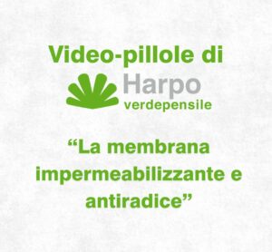 Scopri di più sull'articolo La membrana impermeabilizzante e antiradice | Video-pillola 8 di 18