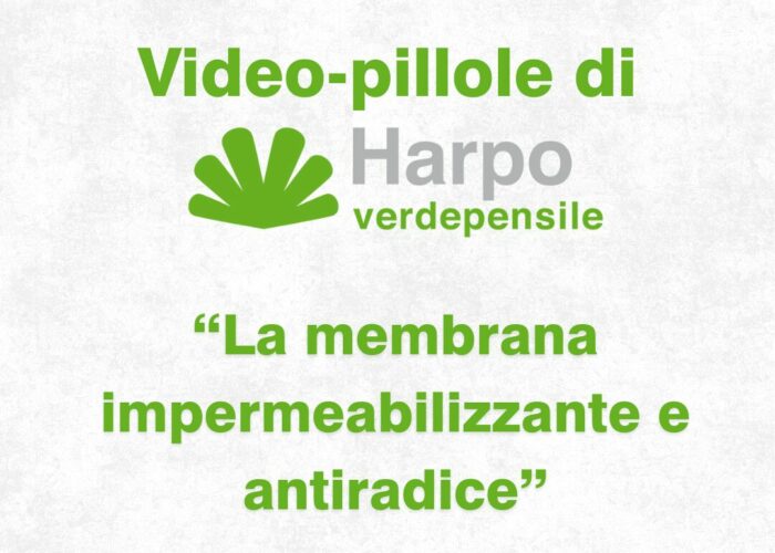 Short videos from Harpo verdepensile 1 of 18. The role of Harpo verdepensile