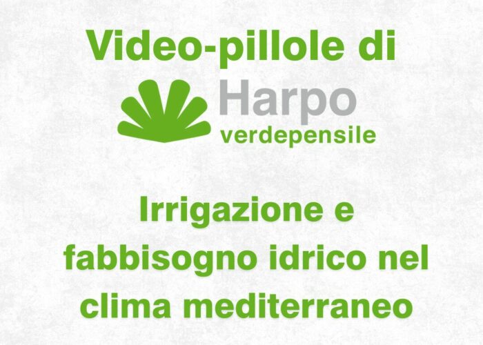 Short videos from Harpo verdepensile 1 of 18. The role of Harpo verdepensile