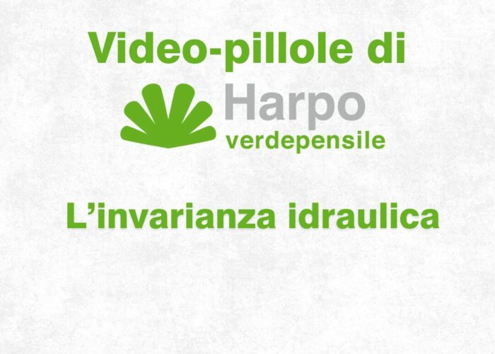 Short videos from Harpo verdepensile 1 of 18. The role of Harpo verdepensile