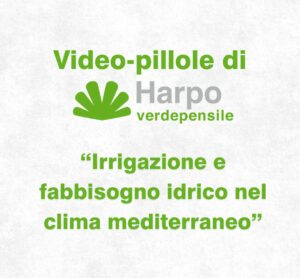 Scopri di più sull'articolo Irrigazione e fabbisogno idrico nel clima mediterraneo | Video-pillola 9 di 18