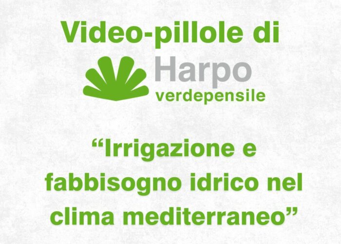 Short videos from Harpo verdepensile 1 of 18. The role of Harpo verdepensile