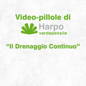 Read more about the article Short videos from Harpo verdepensile 1 of 18. The role of Harpo verdepensile
