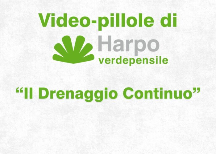Short videos from Harpo verdepensile 1 of 18. The role of Harpo verdepensile
