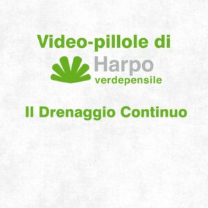 Read more about the article Short videos from Harpo verdepensile 1 of 18. The role of Harpo verdepensile