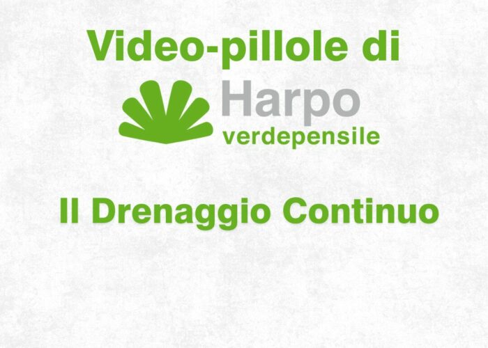 Short videos from Harpo verdepensile 1 of 18. The role of Harpo verdepensile