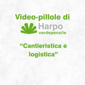 Read more about the article Short videos from Harpo verdepensile 1 of 18. The role of Harpo verdepensile