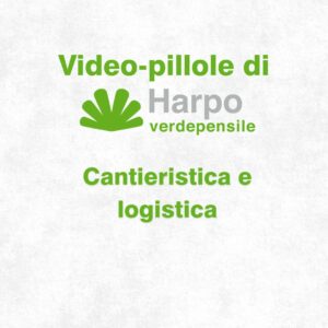 Read more about the article Short videos from Harpo verdepensile 1 of 18. The role of Harpo verdepensile