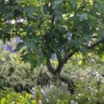 Imparando dalla Natura