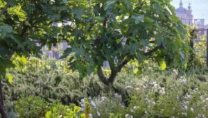Scopri di più sull'articolo Imparando dalla Natura