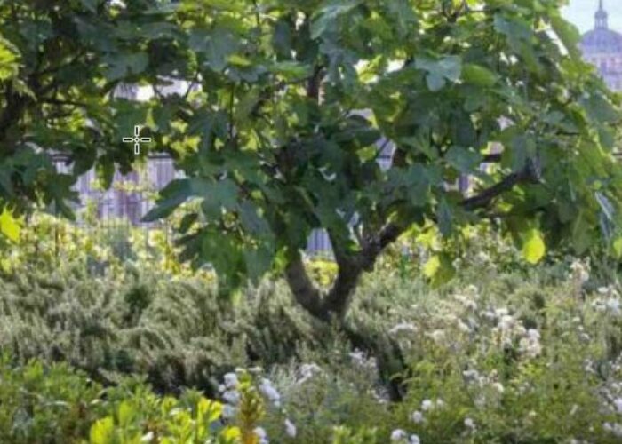 Imparando dalla Natura