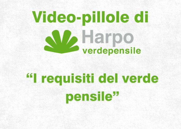 Short videos from Harpo verdepensile 1 of 18. The role of Harpo verdepensile