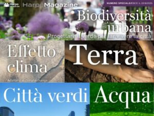 Scopri di più sull'articolo Due anni di HarpoMagazine: conoscenza, innovazione e cultura tecnica delle nature-based solutions