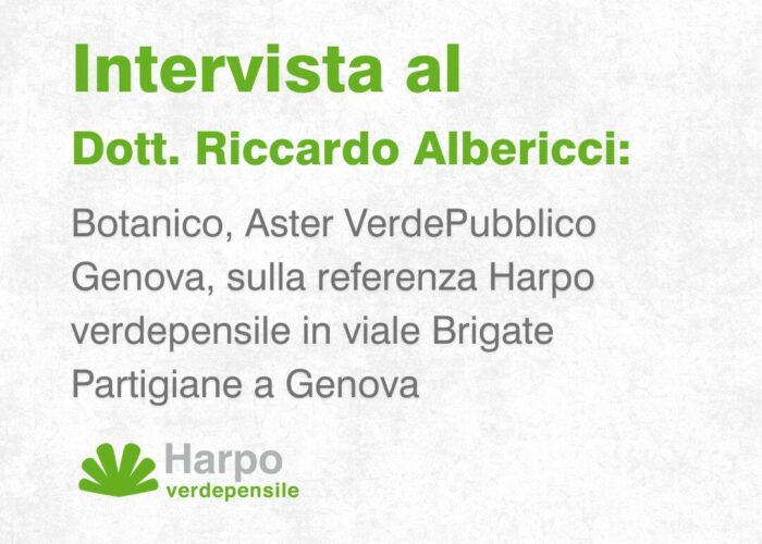 Short videos from Harpo verdepensile 1 of 18. The role of Harpo verdepensile