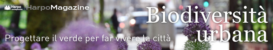 banner nuovo numero harpo magazine