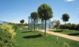 Coperture o aree a verde di elevato pregio Coperture o aree a verde di elevato pregio