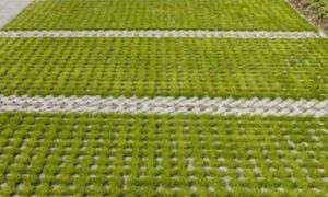 Impermeabilizzazione aree Sosta e Parcheggio – Harpo Verde Pensile Impermeabilizzazione aree Sosta e Parcheggio - Harpo Verde Pensile