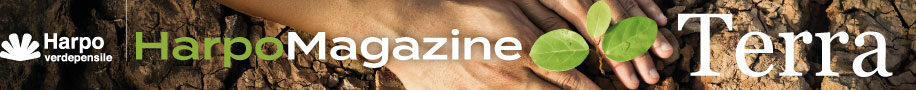 banner_terra