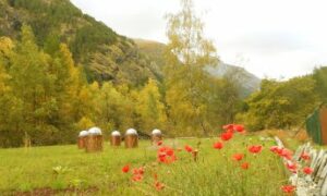 biodiversità